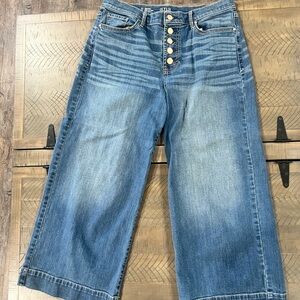 Ana High Rise Cropped wide leg jeans